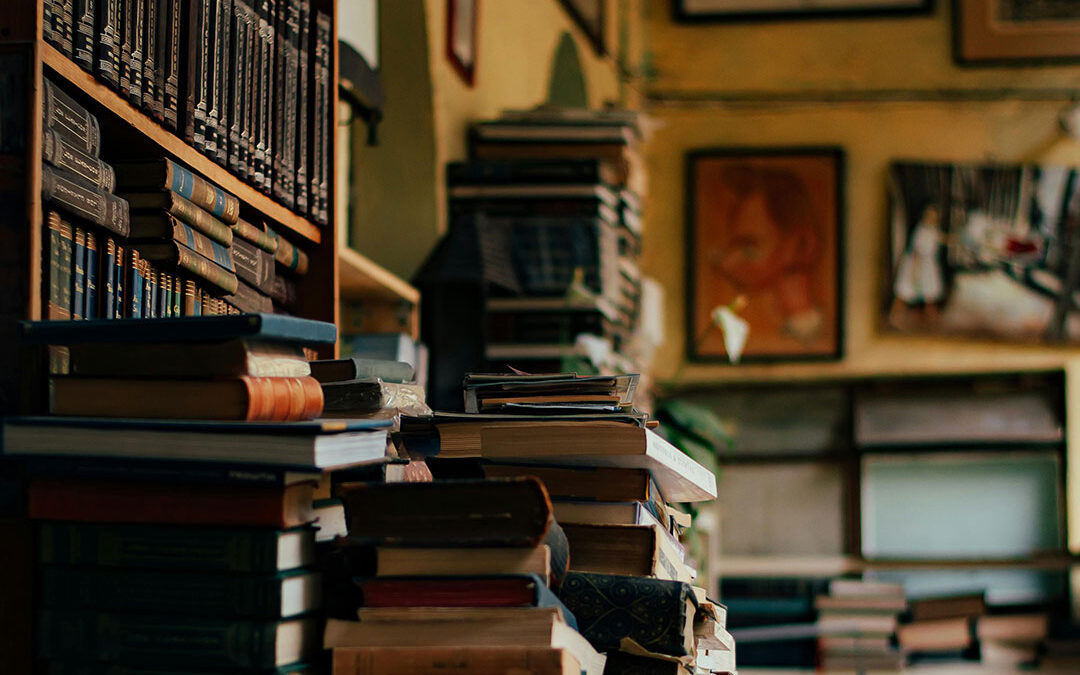 Ut purus nunc, fringilla id sodales sed, scelerisque in mi.